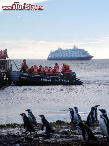 Immagine Crociera in Patagonia: escursione in gommone per vedere i pinguini -  Foto di Giulio Badini i Viaggi di Maurizio Levi 