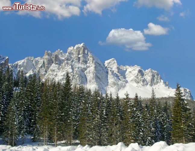 Immagine La parete della Croda Rossa, Dolomiti di Sesto, Trentino Alto Adige - © pecold / Shutterstock.com