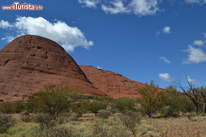 Immagine Una cupola di arenaria a Kata Tjuta: i Monti Olgas hanno 600 milioni di anni e sono montagne considerate sacre dagli aborigeni d' Australia