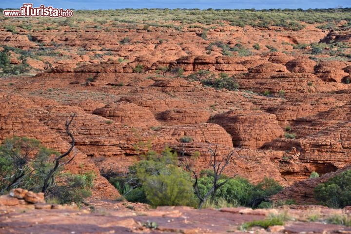 Immagine Cupole di arenaria lungo il Kings Canyon (Australia) -  La presenza di fratture, unita all'erosione tipica dei climi desertici, con dilatazioni indotte dalle escursioni termiche, hanno creato questa serie spettacolari di piccoli domi di roccia che si possono ammirare compiendo la "Rim Walk"