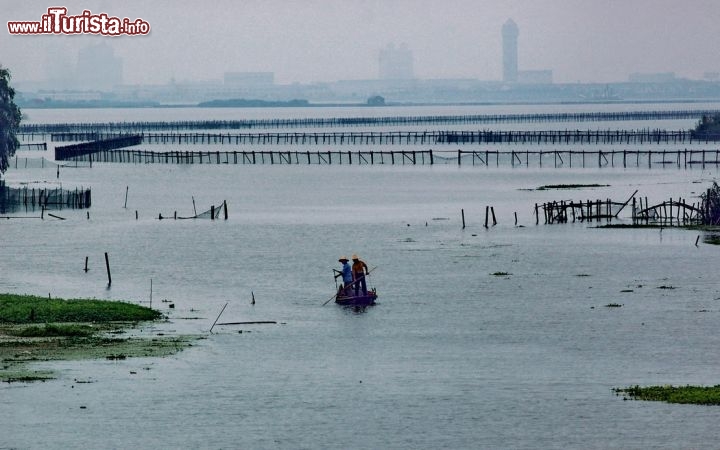 Immagine Il  delta dello Yangtze Vicino Tongli e Shanghai in Cina