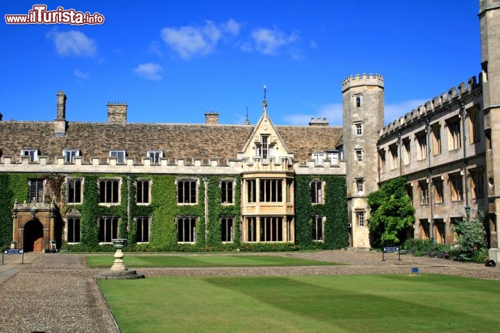 Immagine Interno del Trinity College di Cambridge, Inghilterra - Ad impreziosire l'architettura austera e imponente del Trinity College ci pensano gli spazi verdi interni alla struttura dove spiccano anche suggestive pareti di edera sulle facciate dell'edificio accademico © Vasilieva Tatiana / shutterstock.com