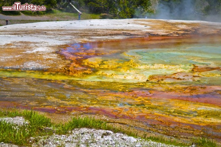 Immagine Depositi colorati di batteri nel Parco Nazionale di Yellowstone, l'aerea protetta più antica del mondo - ©Krzysztof Wiktor / Shutterstock.com