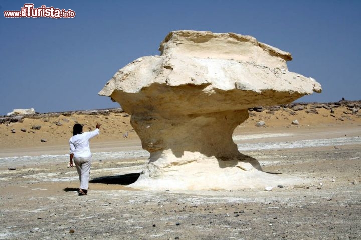 Immagine Deserto Bianco un fungo di roccia nel Sahara dell'Egitto - Foto di Giulio Badini