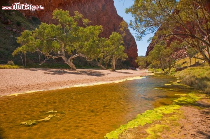 Immagine Simpson's Gap vicino ad Alice Springs - Siamo nel cosiddetto cuore rosso dell'Australia, il Red Centre che qui regala forti emozioni per le montagne del Mac Donnell Ranges, e più lontano con le vette di Ayers Rock e dei monti Olgas. Questo territorio è considerato sacro da parte degli aborigini, ad anche i turisti che scoprono questo pezzo d'Australia, non rimangono immuni al fascino di questo magico territorio - © edella / Shutterstock.com