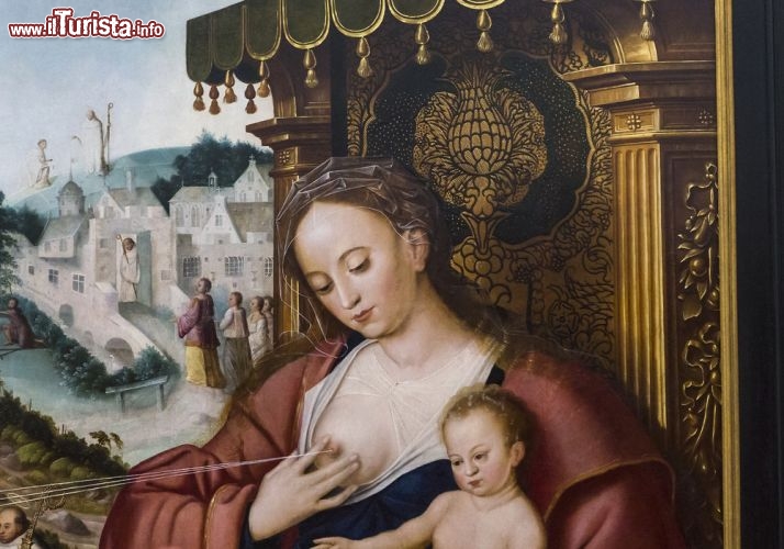 Immagine Dipinto della chiesa di San Salvatore, Bruges - Fra i quadri che decorano l'interno della cattedrale di Bruges, intitolata al Salvatore risorto, ci sono opere d'arte di inestimabile valore artistico fra cui un dipinto che raffigura la Madonna con Bambino © photogolfer / Shutterstock.com