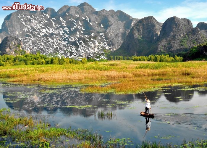 Immagine Donna vietnamita in barca, Van Long: la Riserva Naturale di Van Long, nella provincia di Ninh Binh, è una zona a prevalentemente paludosa ottima per dedicarsi al birdwatching - Foto © utcon / Shutterstock.com