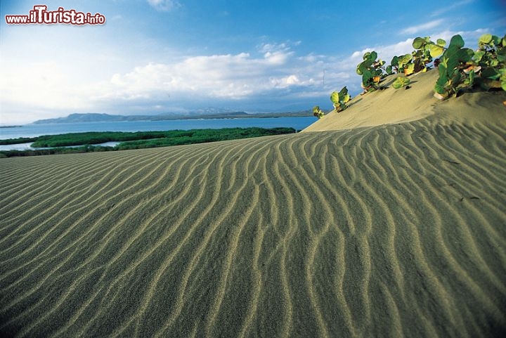 Immagine Dunas de Bani a Barahona: una specie di deserto costiero nel sud-ovest della Repubblica Dominicana - © Dominican Repubblic Ministry of Tourism