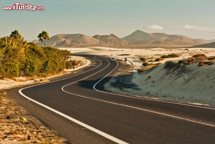 Immagine Dune di sabbia nei pressi di Corralejo a Fuerteventura (Canarie). La città di Corralejo si trova nella porzione nord dell'isola di Fuerteventura, ed è famosa per il suo aspetto desertico, con le dune di sabbia bianca che arrivano fino al mare - © Brigida Soriano / Shutterstock.com