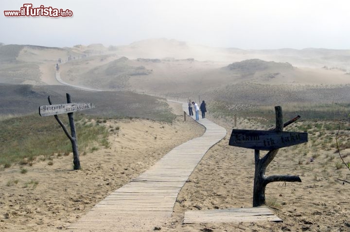 Immagine Le grandi dune di Sabbia di Nida, lungo il litorale sul Mar Baltico della Lituania - © Virginija Valatkiene / Shutterstock.com