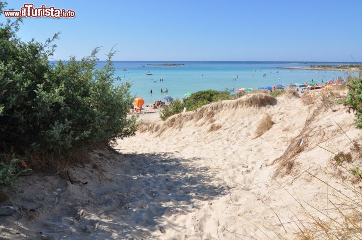 Immagine Dune e mare limpido vicino a Torre Lapillo, nel Salento