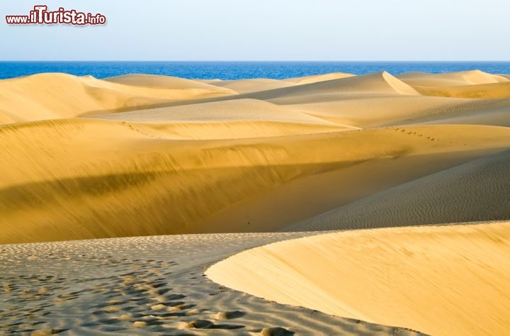 Immagine Le famose dune di sabbia a Maspalomas, Gran Canaria. Si trovano nel sud dell'isola, sullo sfondo si intravedono le acque blu dell'Oceano Atlantico - © Mette Brandt / Shutterstock.com