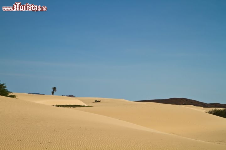 Immagine Dune di sabbia nel Deserto di Viana, all'interno dell'isola di Boa Vista, nell'arcipelago di Capo Verde - © p.schwarz / Shutterstock.com