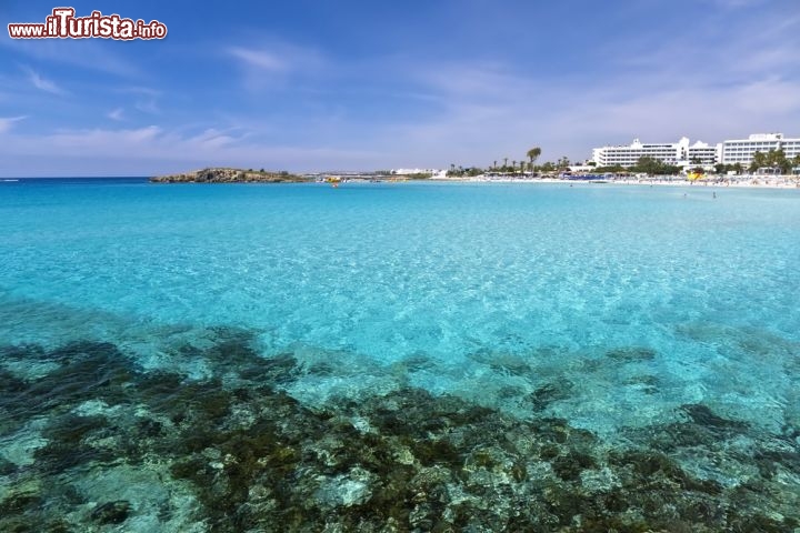 Immagine E fantastico fare snorkeling nela mare di Ayia Napa a Cipro  - © Pawel Kazmierczak / Shutterstock.com
