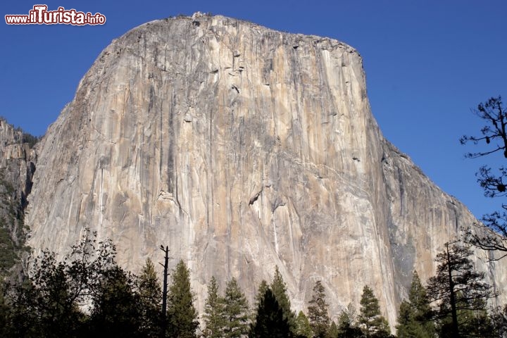 Immagine El Captain il paradiso dei rocciatori, la grande parete del free climbing si trova nello Yosemite National Park della California  - © Rafael Ramirez Lee / Shutterstock.com