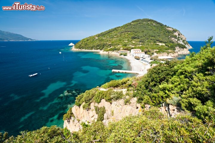 Immagine Il promontorio dell'Enfola si trova a nord dell'Isola d'Elba, nella zona di Portoferraio: alto 135 m, formato da granito porfirico, è circondato da un faraglione e alcuni isolotti e ricoperto di odorosa macchia mediterranea. Lungo il perimetro del promontorio si aprono la Grotta dello Sbruffo e la Grotta del Bove marino, e fino alla fine dell'Ottocento vi prosperava la palma nana - © Luciano Mortula / Shutterstock.com