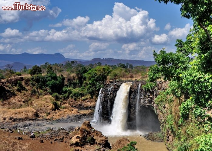 Immagine Escursione dal Lago Tana:le Cascate Nilo Azzurro a Tissisat, Etiopia