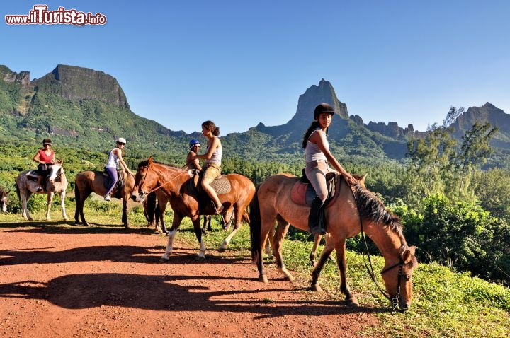 Immagine Escursione a cavallo all'interno dell'Isola di Moorea in Polinesia Francese