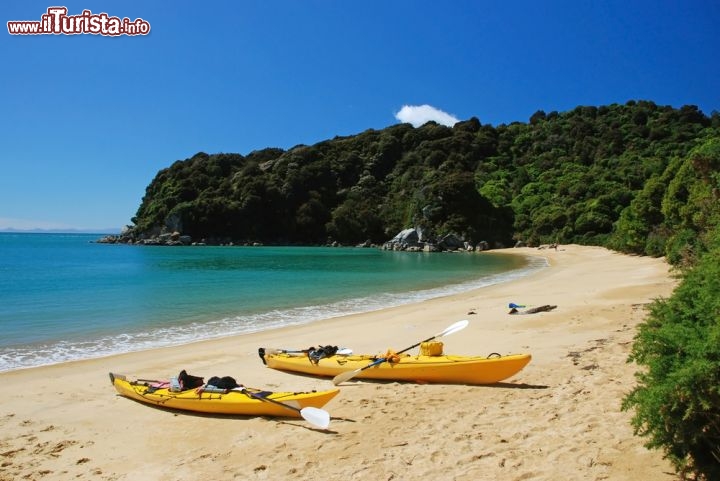 Immagine Escursione in Kayak, uno dei tour classici nel Parco Nazionale Abel Tasman in Nuova Zelanda - © Jiri Foltyn / Shutterstock.com