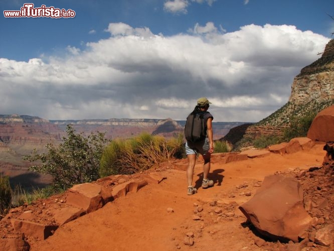 Immagine Escursione sentiero Grand Canyon Stati Uniti d America - © Tom Grundy / Shutterstock.com