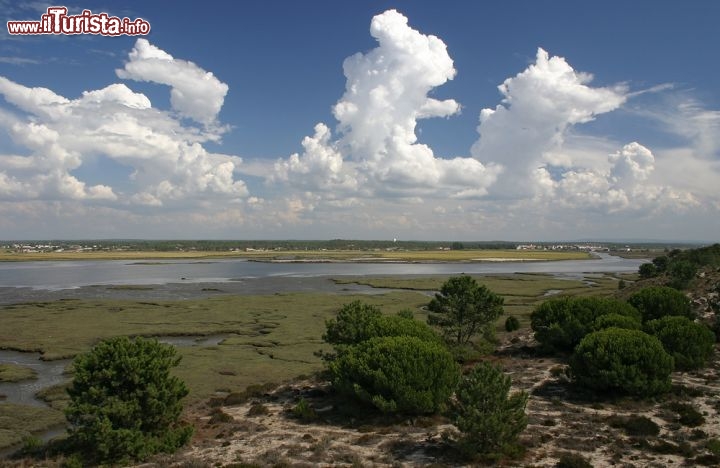 Immagine Estuario Rio Sado a Alcacer do Sal, Portogallo. Anticamente chiamato Sadao, questo fiume nasce nella Serra da Vigia a un'altitudine di 230 metri sul livello del mare; attraversa i territori di Alvalade e di Alcacer do Sal e sfocia nell'Atlantico di fronte a Setubal dopo aver percorso circa 180 chilometri.