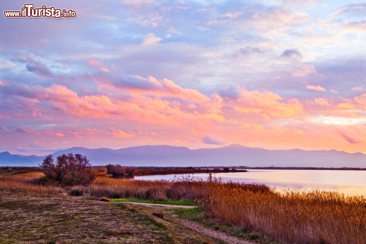 Immagine Etang de Canet,Saint Nazaire vicino a Perpignan nella Francia meridionale - © Yuryev Pavel / Shutterstock.com