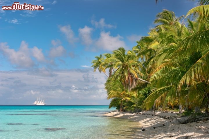 Immagine Spiaggia di Fakarava, Polinesia Francese -  © Piotr Gatlik / Shutterstock.com