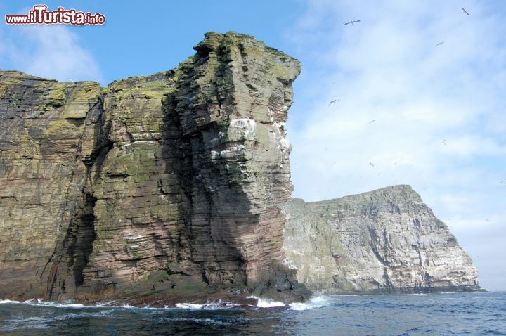 Immagine Falesia a Bressay island, l'isola ad est di Lerwick, che fa parte del gruppo delle Shetland, in Scozia - © WronaART / Shutterstock.com