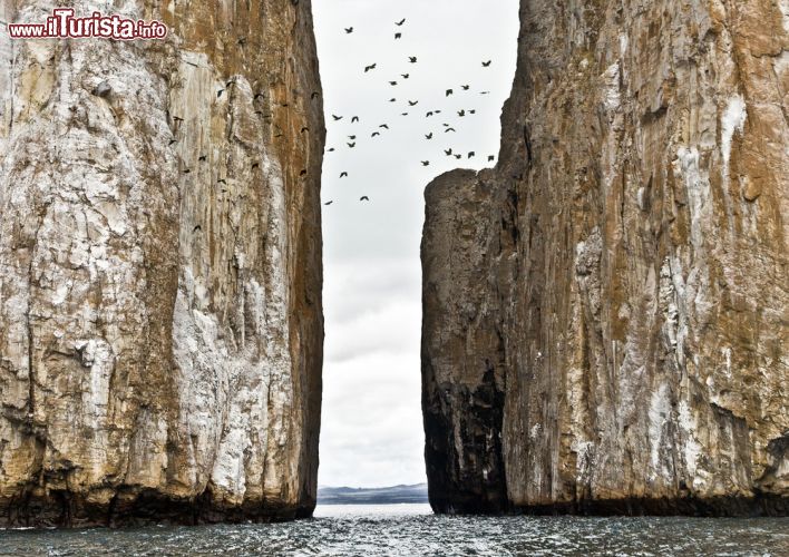 Immagine Le due alte torri in roccia vulcanica di Kicker Rock, che si innalzano per circa 140 metri, rappresentano uno dei paesaggi più suggestivi dell'arcipelago delle Galapagos. Chiamate dagli spagnoli anche come Leòn Dormido, in quando provenendo da sud somigliano ad un leone addormentato, queste formazioni si trovano in uno dei più interessanti luoghi per immersioni e snorkeling dell'Ecuador. Nell'immagine, alcuni uccelli delle tante specie endemiche ospitate in questo arcipelago fotografati mentre volteggiano sopra Kicker Rock © Danny Alvarez / Shutterstock.com