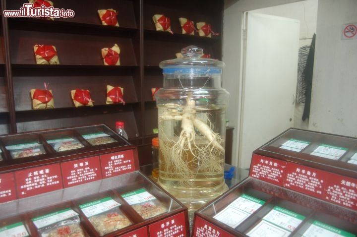 Immagine Farmacia storica cinese nel centro storico di Hangzhou, in Cina