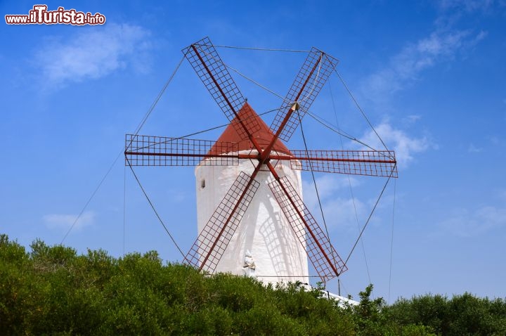 Immagine Il Faro Es Mercadal sorge sulla costa più selvaggia di Minorca, quella settentrionale, abbarbicato in cima al Capo de Cavalleria sin dal 1857. E' raggiungibile mediante un sentiero che comincia a 13 km da Fornelis - © Pawel Kazmierczak / Shutterstock.com