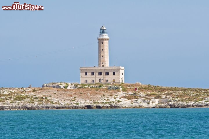 Immagine Il Faro di Santa Eufemia si trova vicino a Vieste, la cittadina di mare sul promontorio del Gargano in Puglia - © Mi.Ti. / Shutterstock.com