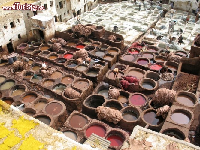Immagine Fest Tannery: ovvero la conceria di Fes in Marocco. Chi la visita si deve tenere un ramoscello di menta sotto alle narici, per limitare i danni del fetore pungente ed insopportabile che si emana dalle vasche  - © Adrian Phillips / Shutterstock.com