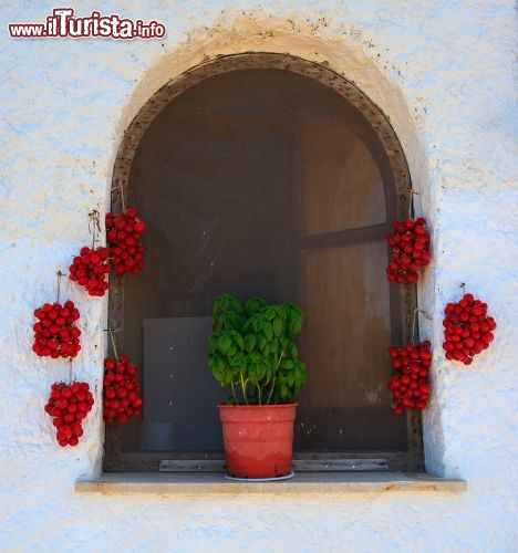 Immagine Finestra di una casa tipica a Pantelleria: immancabili i pomodori ed una pianta di basilico sul davanzale - © bepsy / shutterstock.com