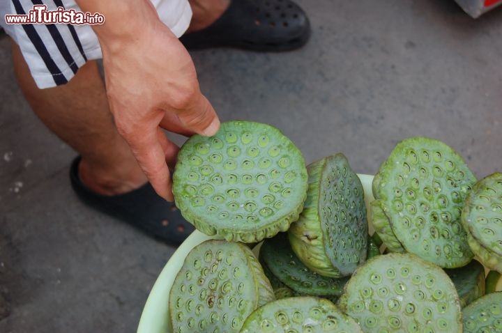 Immagine Fior di loto a Zhouzhuang in Cina: i semi vengono mangiati come delle brustoline