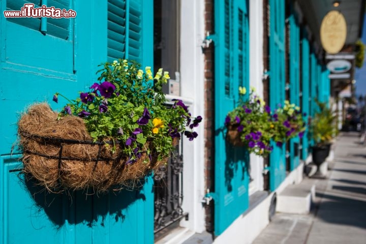 Immagine Fiori per i festeggiamenti del Mardi Gras, New Orleans - Dalle caratteristiche persiane in legno delle case della città sporgono profumati vasi di fiori con cui i residenti abbelliscono le strade di New Orleans in occasione della festa di carnevale che qui raggiunge il suo culmine con il Mardi Gras - © FiledIMAGE / Shutterstock.com