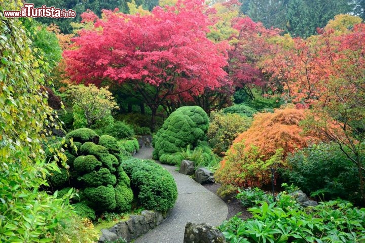 Immagine I Butchart Gardens di Vancouver, Canada, sono giardini floreali situati accanto a Victoria, sulla Vancouver Island, nella Brentwood Bay. Ogni stagione è un tripudio di colori, proprio come voleva Jenny Butchart quando nei primi anni del Novecento decise di creare un angolo di paradiso per tutti - © 2009fotofriends / Shutterstock.com