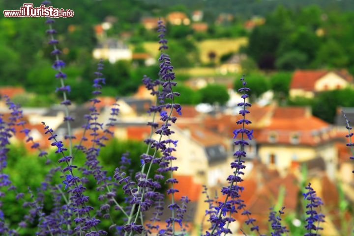 Immagine Fioritura e sullo sfondo il borgo di Sarlat-la-Caneda il villaggio medievale della Dordogna in Francia centro-occidentale - © Elena Elisseeva / Shutterstock.com