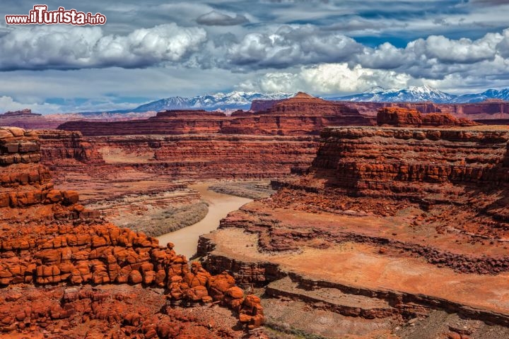 Immagine Parco Nazionale dei Canyonlands, Utah, USA: il canyon scavato dal corso del fiume Colorado, la roccia rossa stratificata simile a un'enorme scultura, e sullo sfondo la catena di La Sal Mountains con le vette innevate. Situato a nord di La Sal e a sud-est di Moab, il complesso montuoso fa parte della Manti-La Sal National Forest e costituisce il lembo meridionale delle Rocky Mountains - © Doug Meek / Shutterstock.com