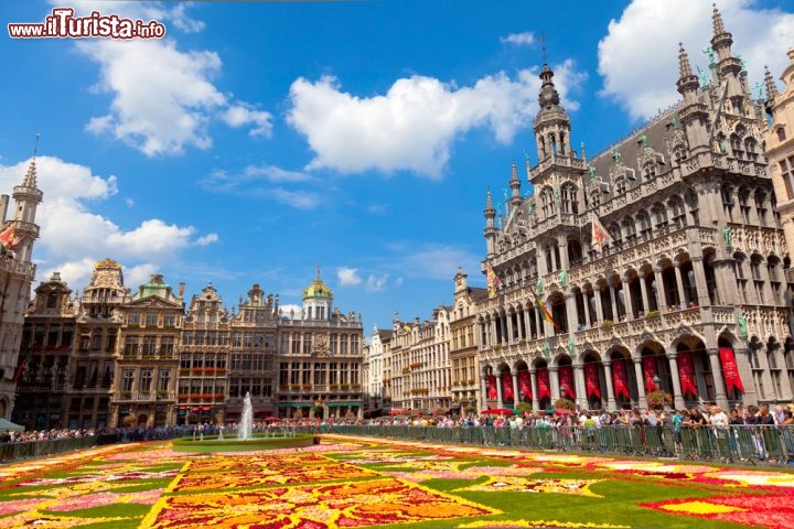 Immagine Flower Carpet, il biennale tappeto di Fiori begonie nella Grand Place di Bruxelles, la capitale del Belgio - © EUROPHOTOS / Shutterstock.com