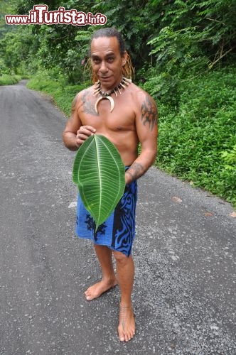 Immagine Fogliia di Miconia la pianta infestante di Tahiti: qui il suo lato verde