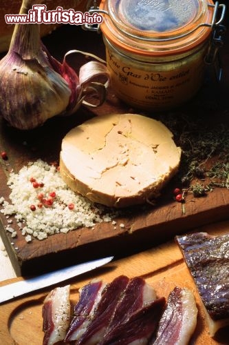 Immagine La Foie gras, il piatto tipico del sud della Francia - © C.R.T M.P / D. VIET