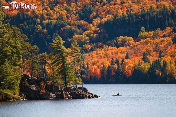 Le foto di cosa vedere e visitare a Ontario