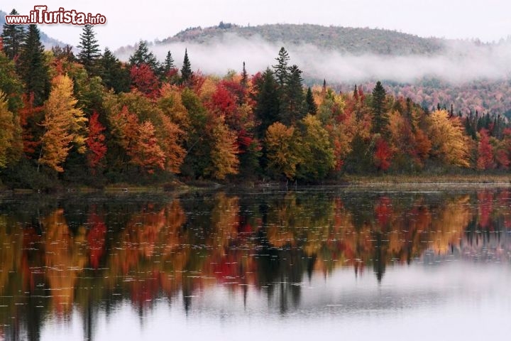 Immagine Foliage d'autunno nel New Hampshire lungo le rive dell'Androscoggin River - © cappi thompson / shutterstock.com