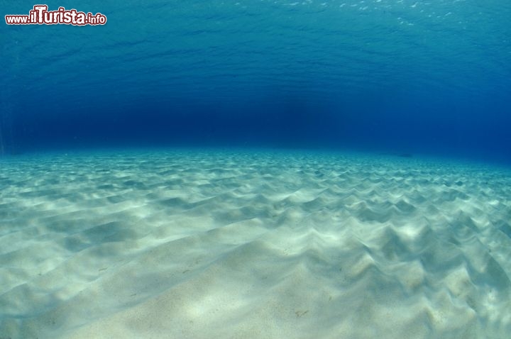Immagine Fondale Marino a Ibiza, Baleari - Copyright foto www.spain.info