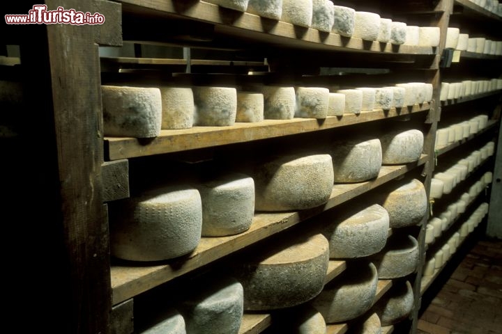 Immagine Formaggi Alta Val Pusteria. Mondolatte Dobbiaco - © m gratton