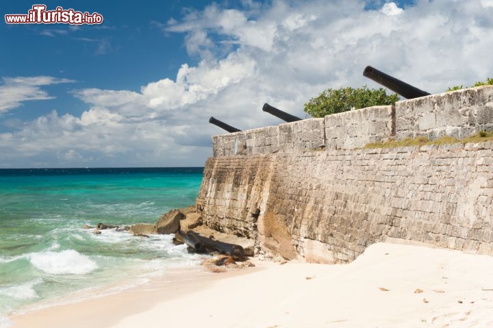 Immagine Il Forte di Needham's Point a Bridgetown, la capitale di Barbados - © Filip Fuxa / Shutterstock.com