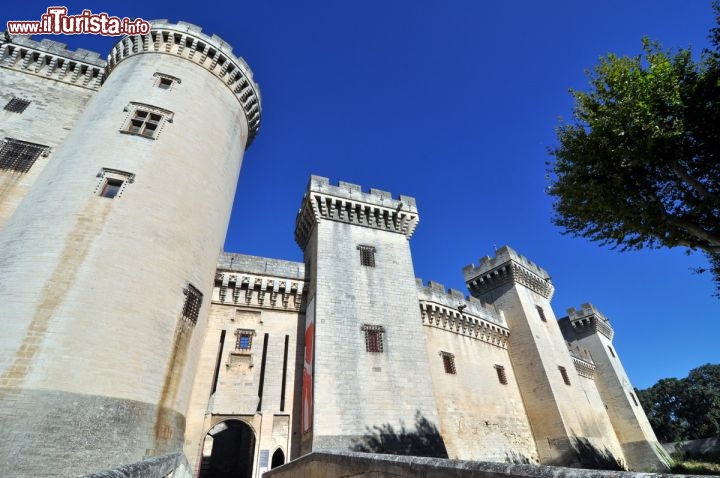 Immagine La Fortezza di Tarasca, ovvero Il Castello sul Rodano di Tarascon, la bella cittadina medievale della Provenza