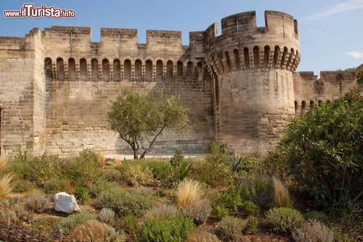 Immagine Fortificazione del complesso del Palazzo dei Papi ad Avignone, in Provenza - Avignon Tourisme, Copyrights Yann de Fareins / Noir d’Ivoire