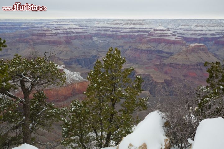 Immagine Foto invernale sul plateau dell'Arizona settentrionale: la neve è caduta sulla parte alta del Grand Canyon degli Stati Uniti. Siccome il dislivello tra cima e fondo dove scorre il fiume Colorado  è di circa 2.000 metri, il salto di temperatura è notevole, dato che mediamente si perdono dai 6,5  a 10 °C ogni 1.000 metri di dislivello. Quindi è del tutto normale trovare innevata la parte alta del grand Canyon, mentre in basso normalmente piove - © You Touch Pix of EuToch / Shutterstock.com